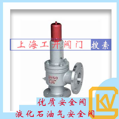 液化石油气安全阀|石油气安全阀|液化安全阀